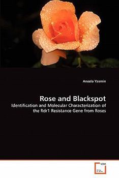 Paperback Rose and Blackspot Book