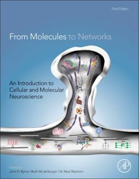 Hardcover From Molecules to Networks: An Introduction to Cellular and Molecular Neuroscience Book