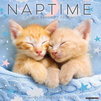Calendar Naptime (Cats) 2023 Wall Calendar Book