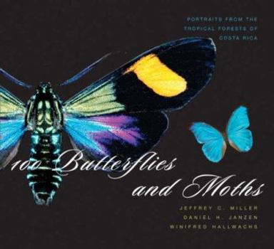 Hardcover 100 Butterflies and Moths: Portraits from the Tropical Forests of Costa Rica Book