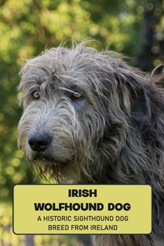 Paperback Irish Wolfhound Dog: A Historic Sighthound Dog Breed from Ireland: How Well You Know ABout Irish Wolfhound Dog? Book