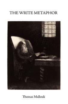 Paperback The Write Metaphor Book