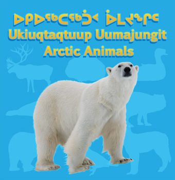 Board book Arctic Animals Book