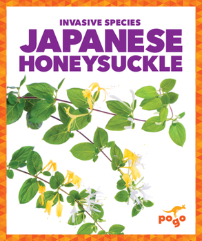 Library Binding Japanese Honeysuckle Book