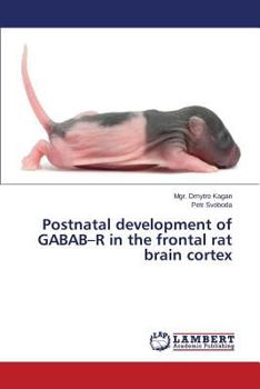 Paperback Postnatal development of GABAB-R in the frontal rat brain cortex Book