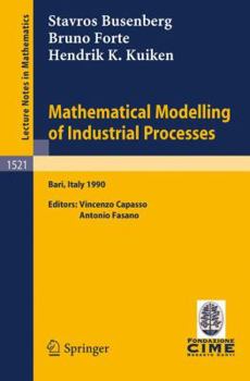 Paperback Mathematical Modelling of Industrial Processes Book