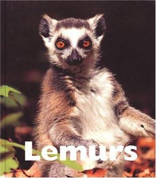 Library Binding Lemurs Book