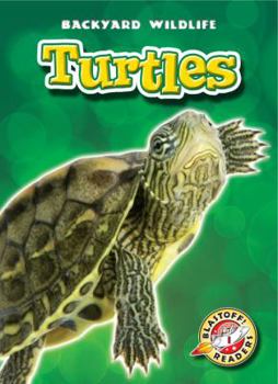 Turtles - Book  of the Backyard Wildlife