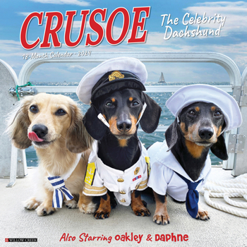 Calendar Crusoe the Celebrity Dachshund 2024 12 X 12 Wall Calendar Book