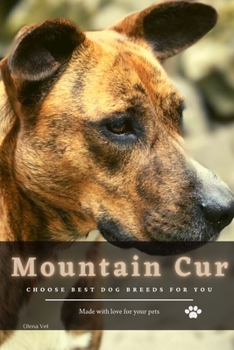 Paperback Mountain Cur: Choose best dog breeds for you Book