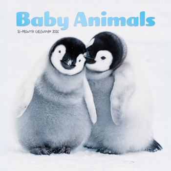 Mini-Disc Baby Animals: 7x7 Mini Book