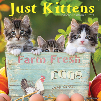 Calendar Just Kittens 2022 Wall Calendar Book