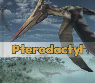 Hardcover Pterodactyl (Acorn: All about Dinosaurs) Book