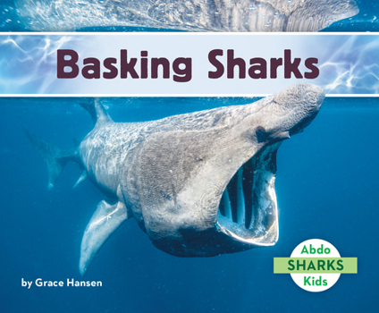 Library Binding Basking Sharks Book