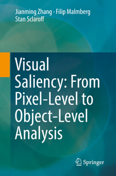 Paperback Visual Saliency: From Pixel-Level to Object-Level Analysis Book