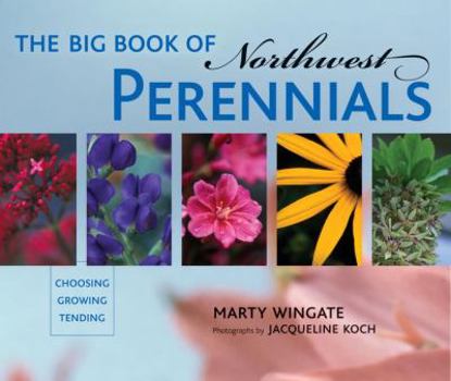Paperback The Big Book of Northwest Perennials: Choosing - Growing - Tending Book