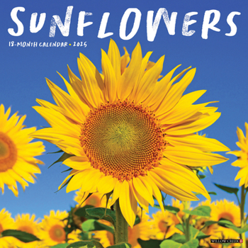 Calendar Sunflowers 2025 12 X 12 Wall Calendar Book