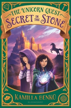 Hardcover Secret in the Stone Book