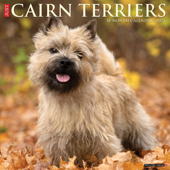 Calendar Just Cairn Terriers 2025 12 X 12 Wall Calendar Book
