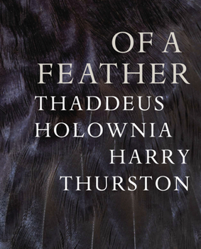 Paperback Of a Feather Book