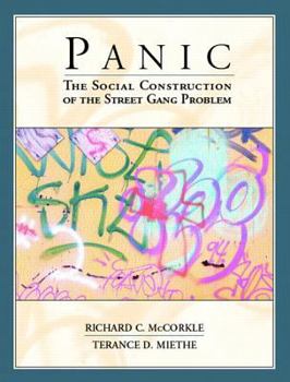 Paperback Panic: The Social Construction of the Street Gang Problem Book