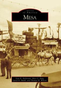Paperback Mesa Book