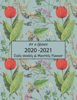 Paperback At a Glance 2020-2021 Daily Weekly & Monthly Planner: Jan-Dec Book