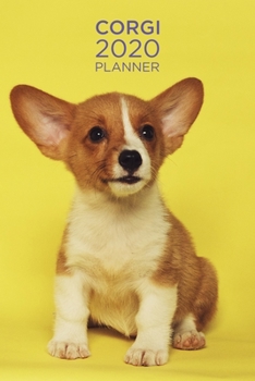 Planner: Increase productivity, improve time management, reach your goals: Cute Corgi pup: Modern artistic photography style cover design (Diary)