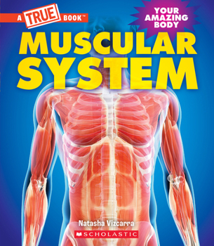 Hardcover Muscular System (a True Book: Your Amazing Body) Book
