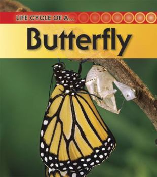 LA Mariposa / Butterfly (Ciclos De La Vida De... / Life Cycle of a...) - Book  of the Life Cycle of a...