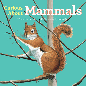 Board book Curious about Mammals Book