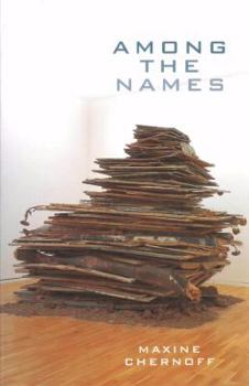 Paperback Among the Names Book