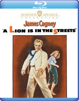 A Lion Is In The Streets