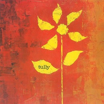 Vinyl Tully Book