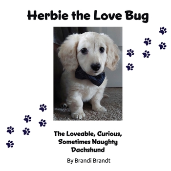Paperback Herbie the Love Bug Book