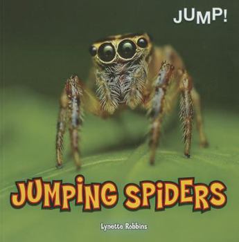 Paperback Jumping Spiders Book