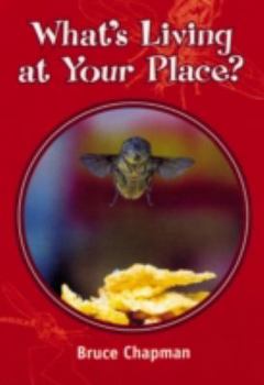 Paperback Skyracer Yellow – What’s Living at Your Place?: Pulse racing guided reading for year 3. Book