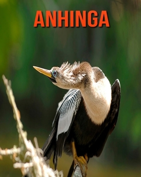 Paperback Anhinga: Amazing Photos & Fun Facts Book About Anhinga For Kids Book