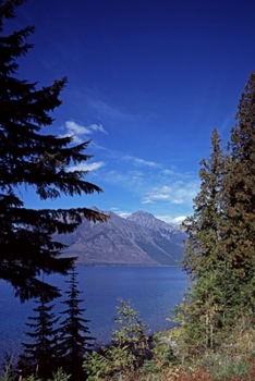 Paperback US National Parks List By State: United States National Parks Checklist and Bucket List with Event Pages to Log Your Park Visits Hikes Photos Souvenir Book