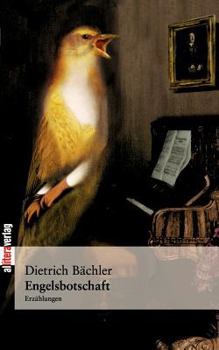 Paperback Engelsbotschaft [German] Book