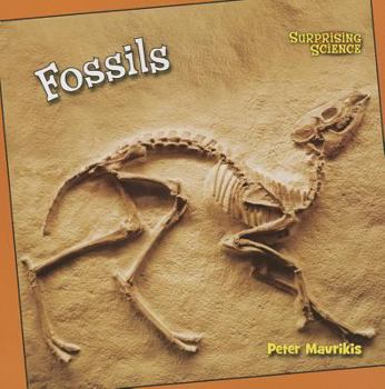 Paperback Fossils Book