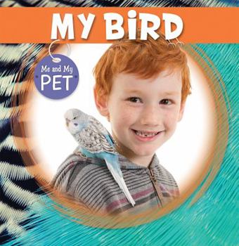 My Bird