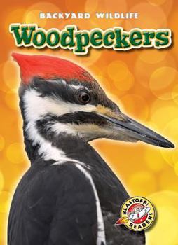Woodpeckers - Book  of the Backyard Wildlife
