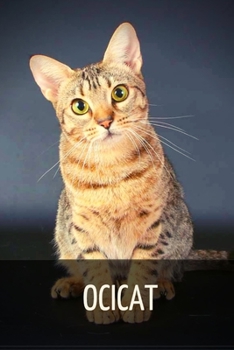Paperback Ocicat Book