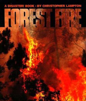 Paperback Forest Fire (PB) Book
