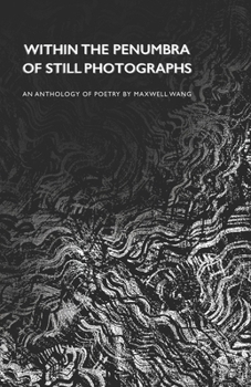 Paperback Within the Penumbra of Still Photographs Book