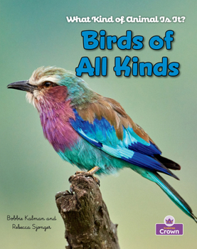 Birds of All Kinds (What Kind of Animal is it?)