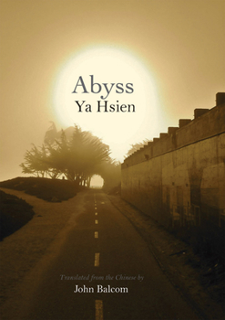 Paperback Abyss Book