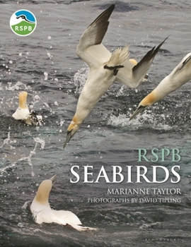 Hardcover Rspb Seabirds Book