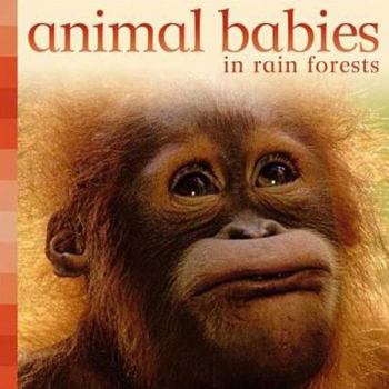 Animal Babies in Rain Forests (Animal Babies) - Book  of the Animal Babies